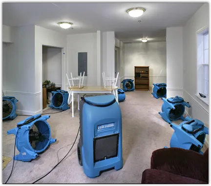Emergency Water Damage Services in Ave Maria, FL