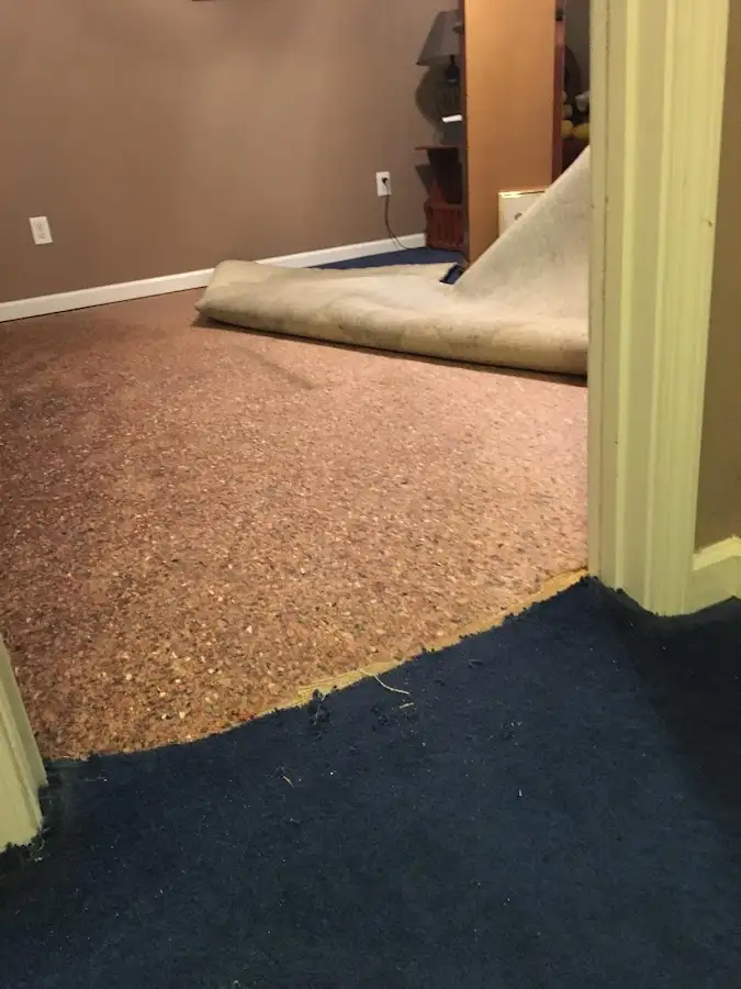 Carpet pad removal revealing water damage during Drying & Dehumidification in Ave Maria