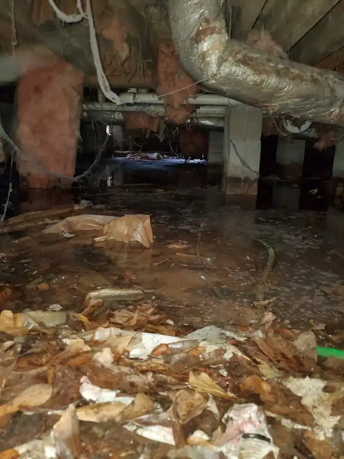 Crawl space flood assessment for Leak Detection & Repair in Ave Maria