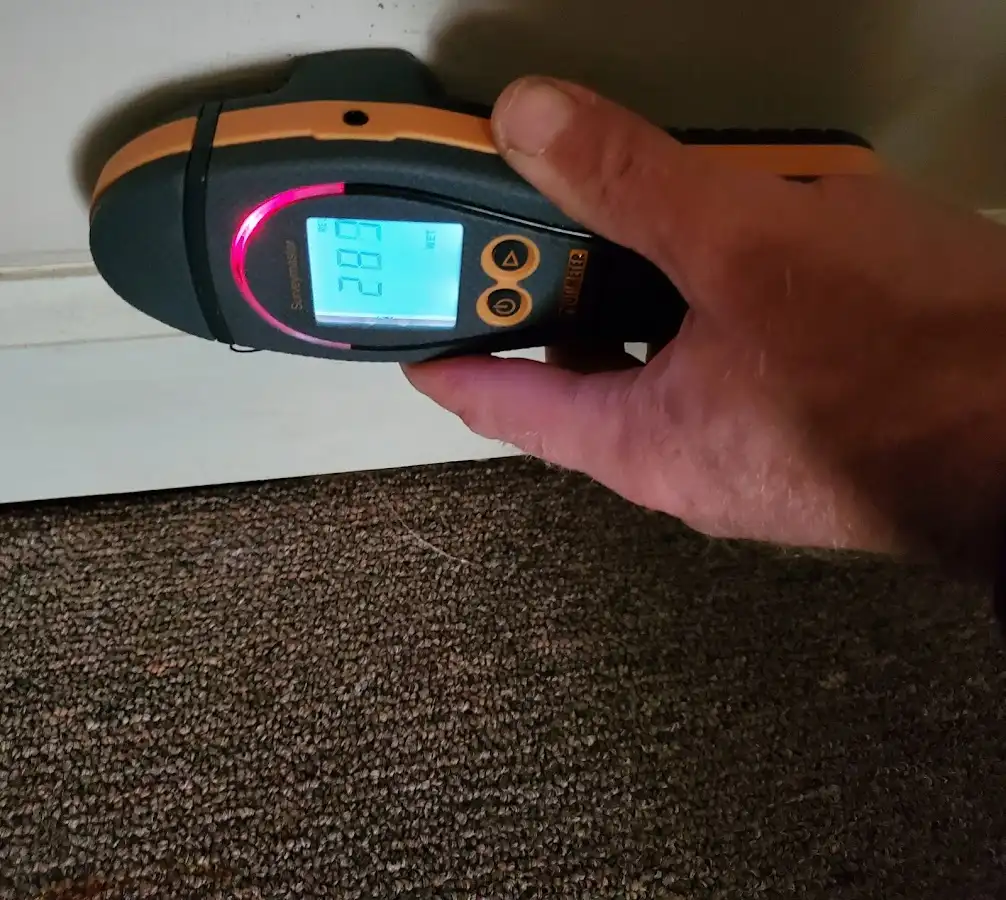 Moisture detection at baseboard during Burst Pipe Cleanup in Ave Maria